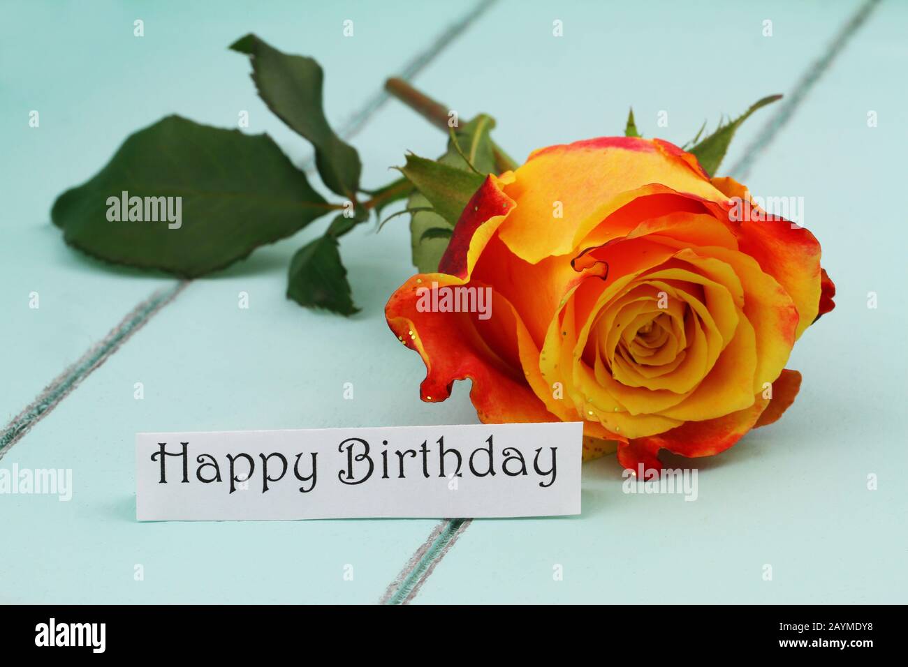 Bonne carte d'anniversaire avec rose orange sur bois bleu Banque D'Images