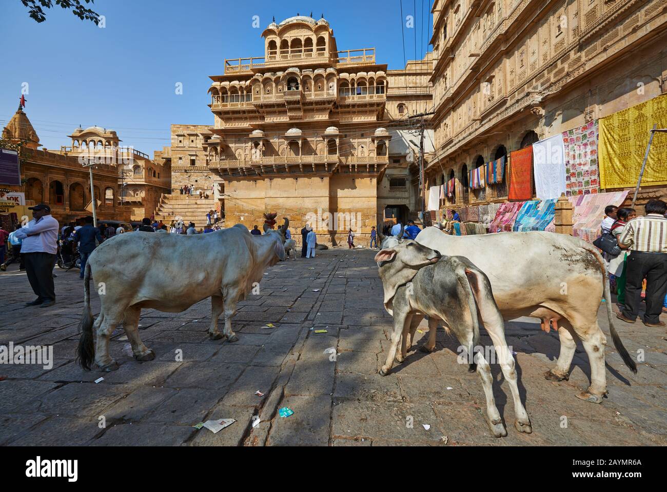 Raja Ka Mahal rois palais de Jaisalmer, Rajasthan, Inde Banque D'Images