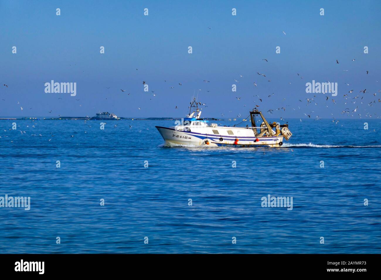 Bateau de pêche blanc avec mouettes, retour au port, port, Torrevieja, Costa Blanca, Espagne Banque D'Images