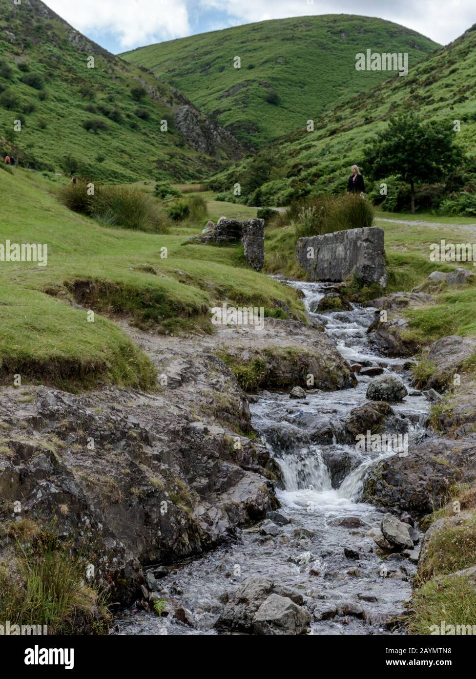 Ruisseau dans Carding Mill Valley sur le long Mynd près de Church Stretton dans les Shropshire Hills, Angleterre, Royaume-Uni Banque D'Images