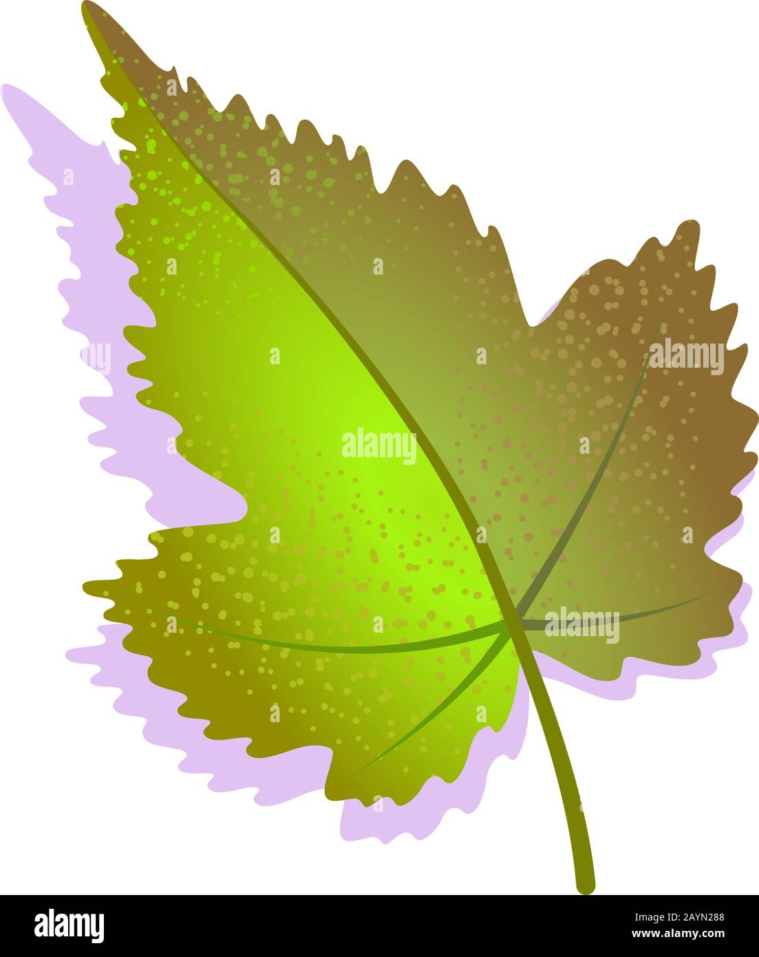 Feuille de raisin verte texturée avec ombre, isolée sur fond blanc. Icône réaliste unique de la nature, élément plat du symbole de l'écologie du vin. Illustration vectorielle de stock. Logo Agriculture. Illustration de Vecteur Feuille de raisin verte texturée avec ombre, isolée sur fond blanc. Icône réaliste unique de la nature, élément plat du symbole de l'écologie du vin. Illustration vectorielle de stock. Logo Agriculture. Illustration de Vecteur
