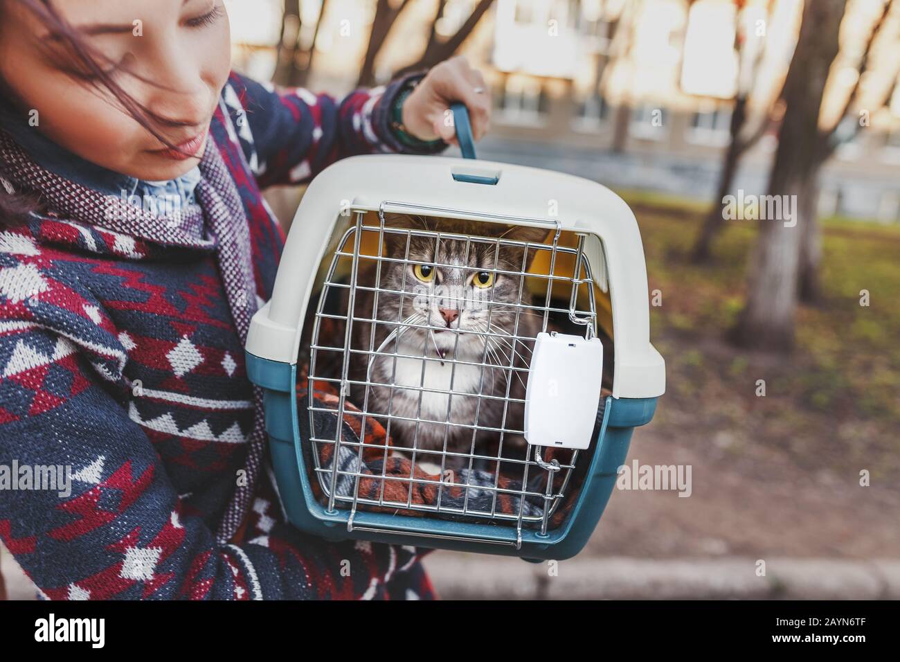 Une femme transporte un chat dans une cage en plastique spéciale ou un sac de transport vers une clinique vétérinaire Banque D'Images