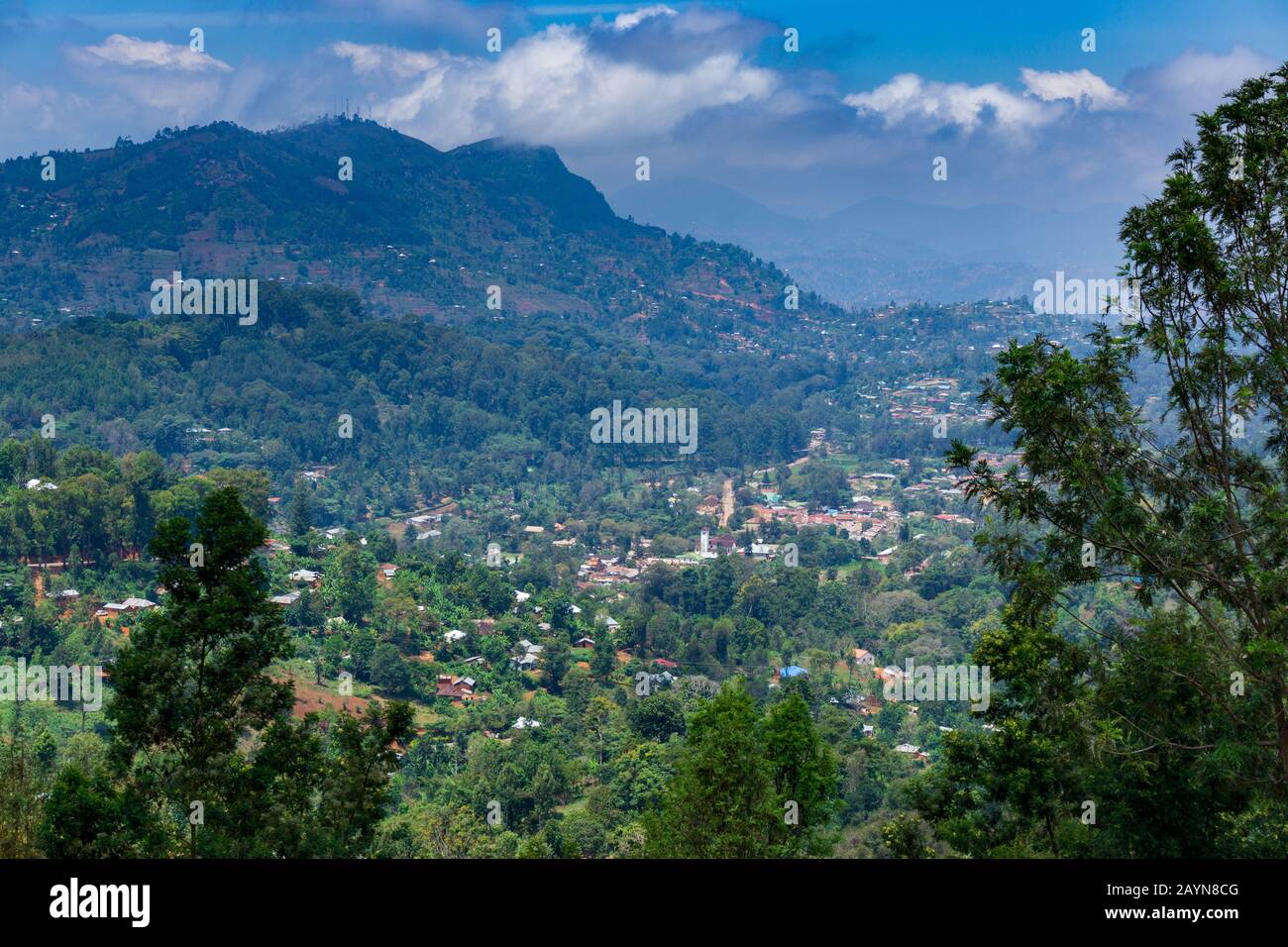 La ville de Luhoto est nichée dans une vallée fertile à environ 1 200 m, entourée de pins et d'eucalyptus mélangés à des bananes et à d'autres feuilles tropicales. Banque D'Images