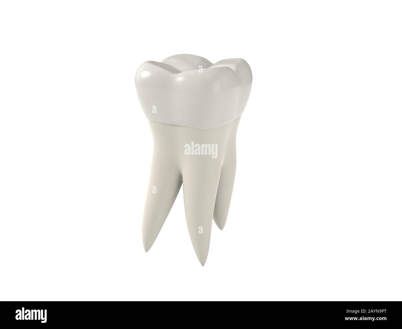 illustration tridimensionnelle d'une dent molaire simple, isolée sur blanc Banque D'Images