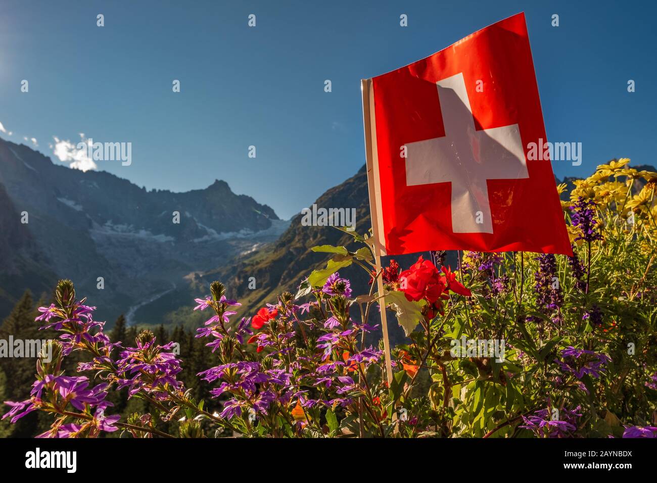 Un drapeau suisse rouge et blanc brillant volant au vent avec des fleurs et des pics couverts par le glacier en arrière-plan à la Fouly, Suisse Banque D'Images