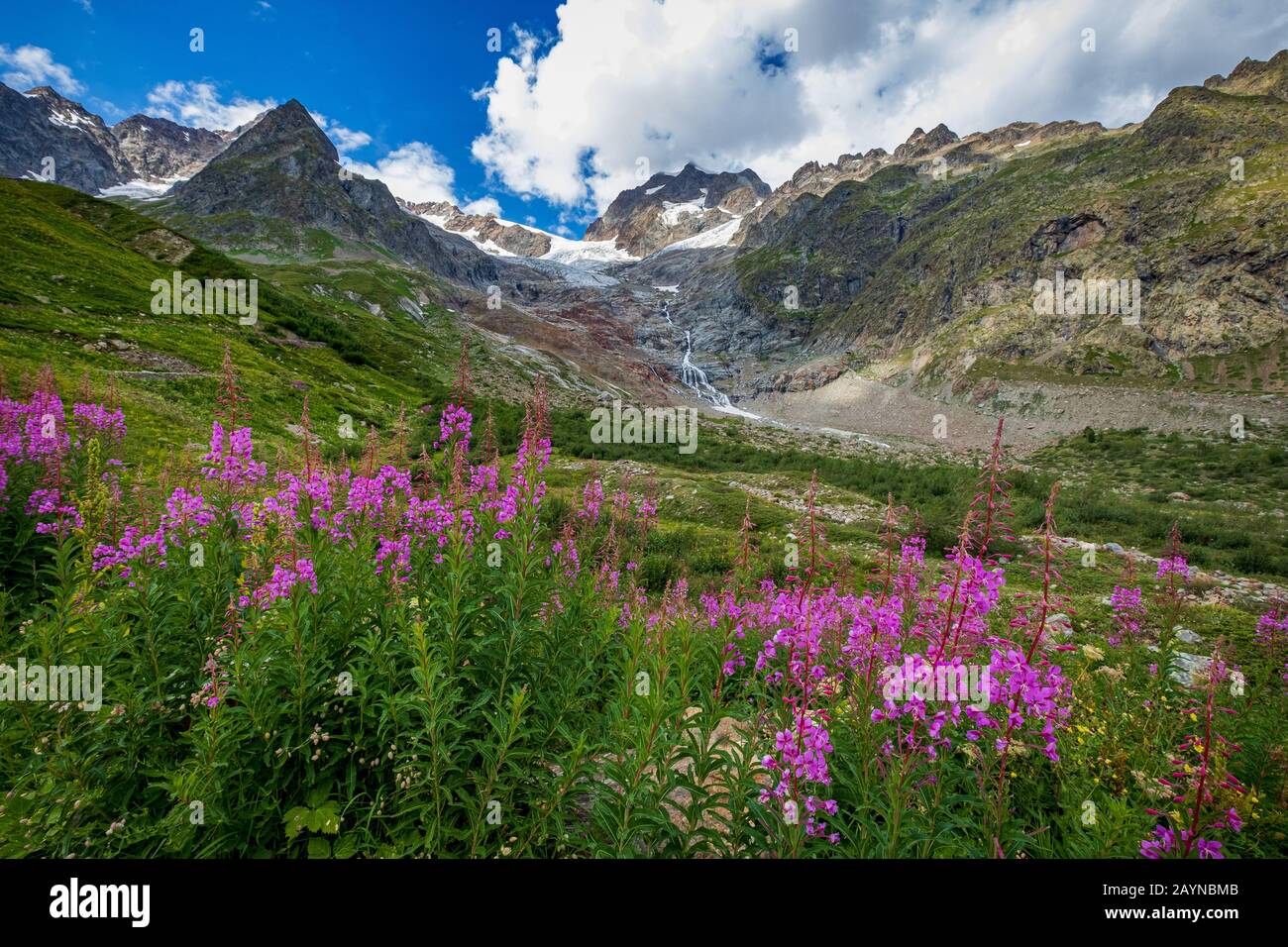Vue imprenable sur une vallée verdoyante et des montagnes couvertes de glaciers le long de la randonnée du Mont Blanc dans la vallée d'Aoste, les Alpes italiennes Banque D'Images