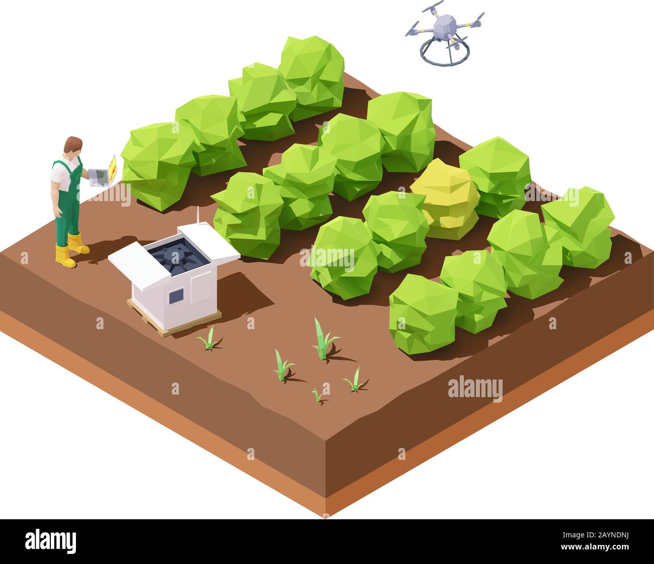 Drone agricole isométrique vectoriel inspectant le champ de récolte Illustration de Vecteur