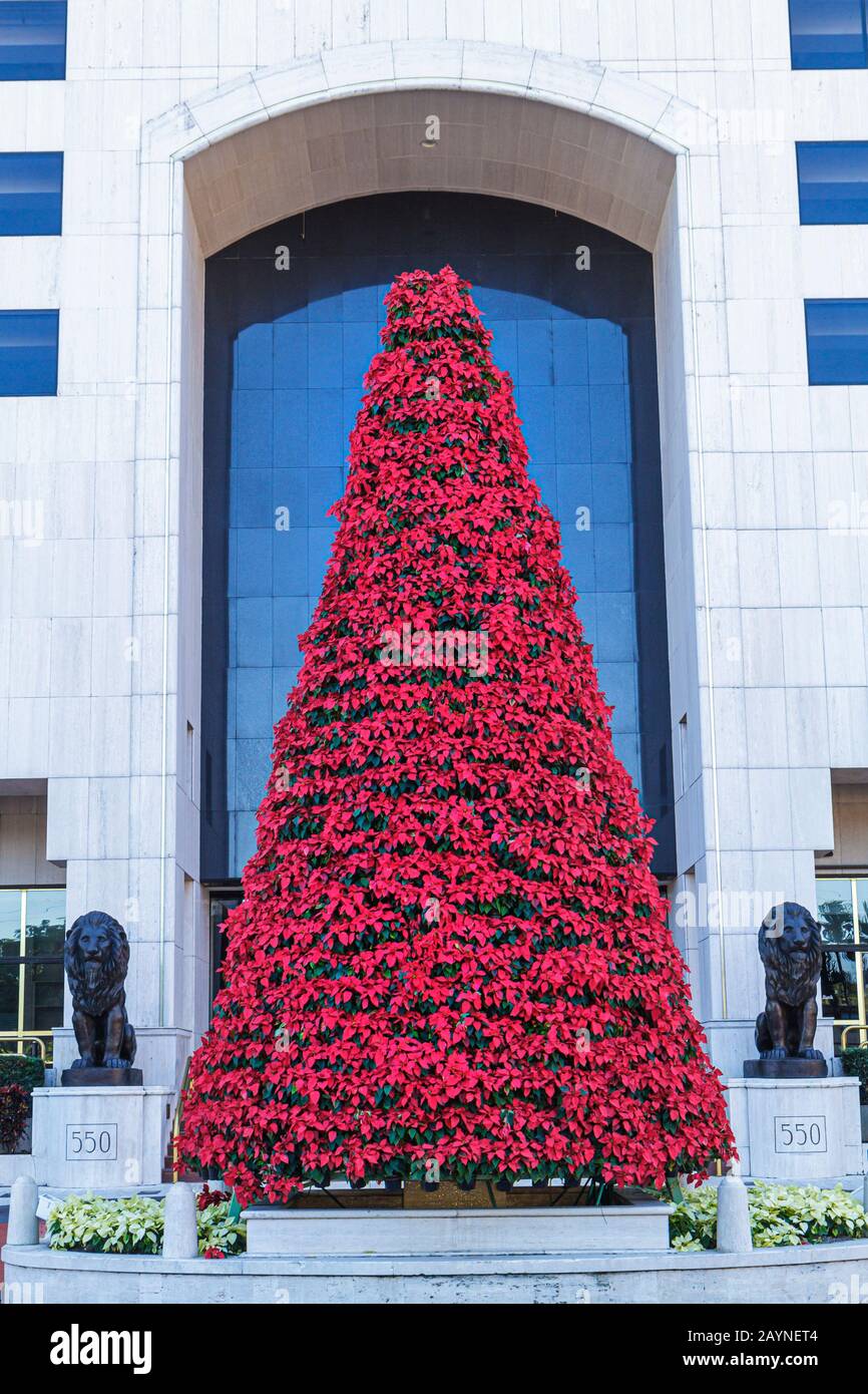 Miami Florida,Coral Gables,UBS bâtiment,poinsettia arbre de Noël décoré Banque D'Images