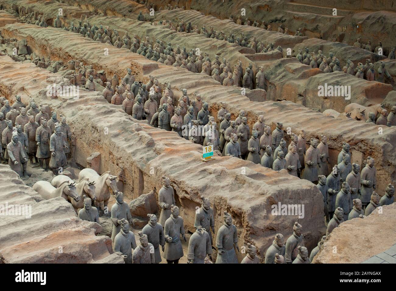 Vue d'ensemble de l'armée De Terre Cuite dans le musée Des guerriers Et des chevaux De Terre