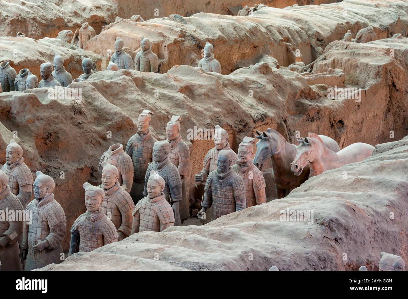 Vue d'ensemble de l'armée De Terre Cuite dans le musée Des guerriers Et des chevaux De Terre