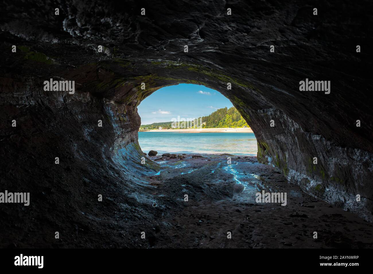 Vue de l'intérieur d'une grotte de mer. Ciel bleu, eau, plage et arbres à l'extérieur. Les murs de la grotte sont humides et reflètent la lumière de l'extérieur. Banque D'Images