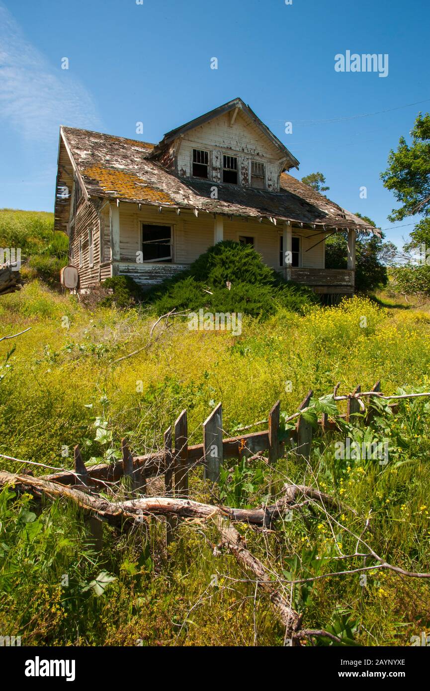 Ancienne ferme abandonnée à la Palouse près de Colfax, État de Washington de l'est, États-Unis. Banque D'Images