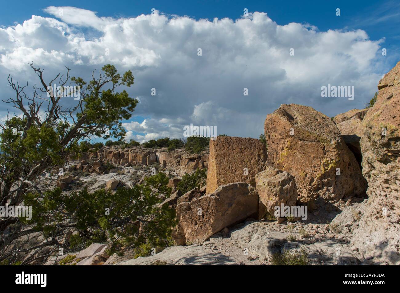 La falaise aux pétroglyphes sculptée dans les falaises de Tsankawi, monument national de Bandelier au Nouveau-Mexique, aux États-Unis, près de White Rock. Banque D'Images