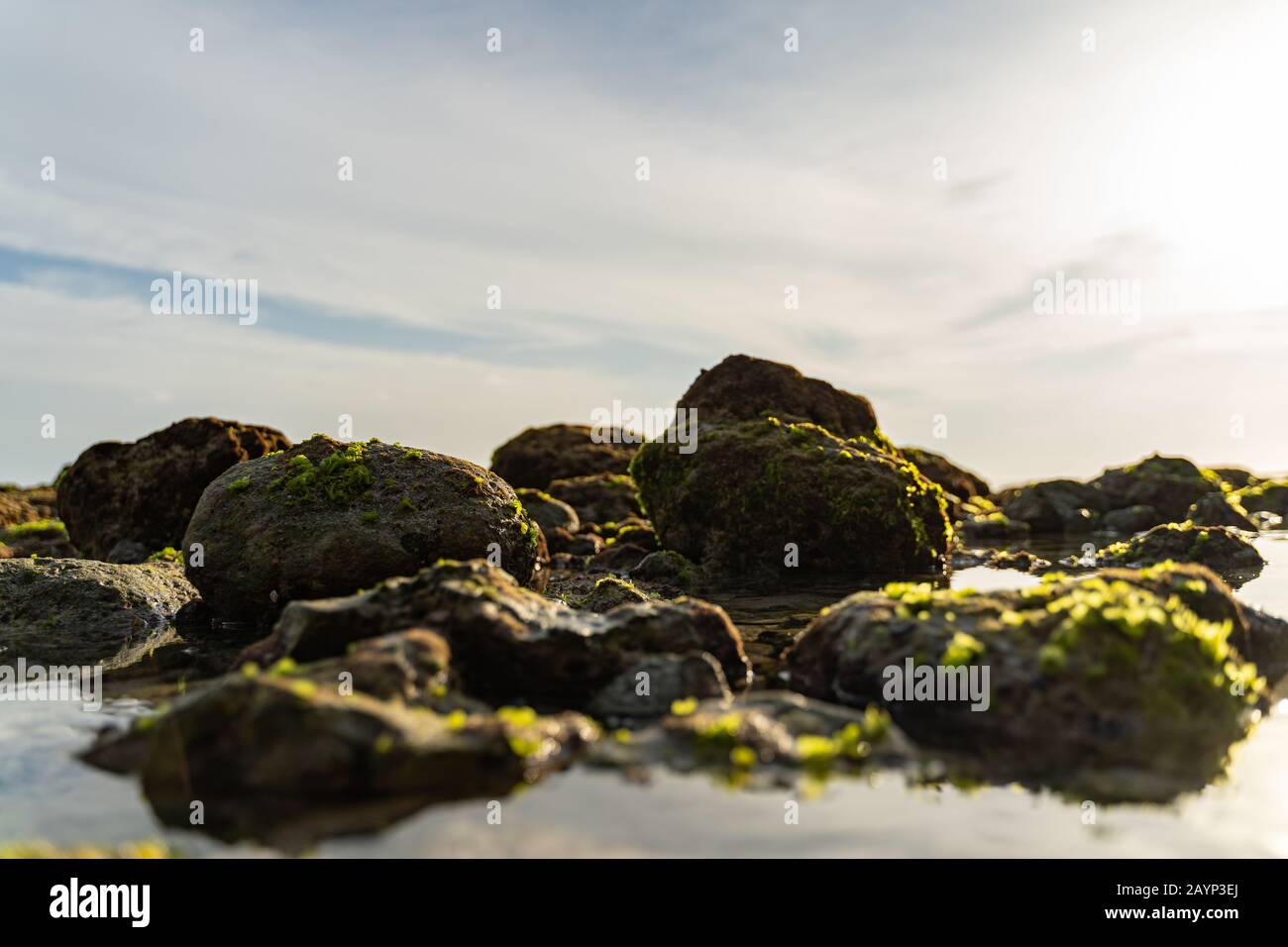 Pierres avec mousse dans la photo de stock d'eau Banque D'Images