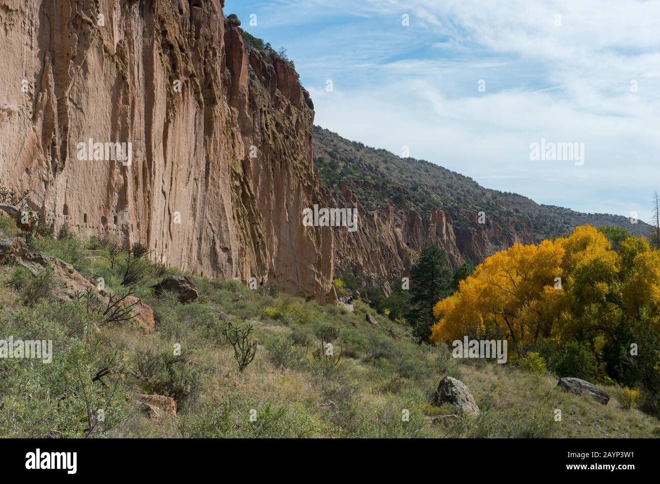 Cliffside au Bandelier National Monument près de Los Alamos, Nouveau Mexique, États-Unis. Banque D'Images