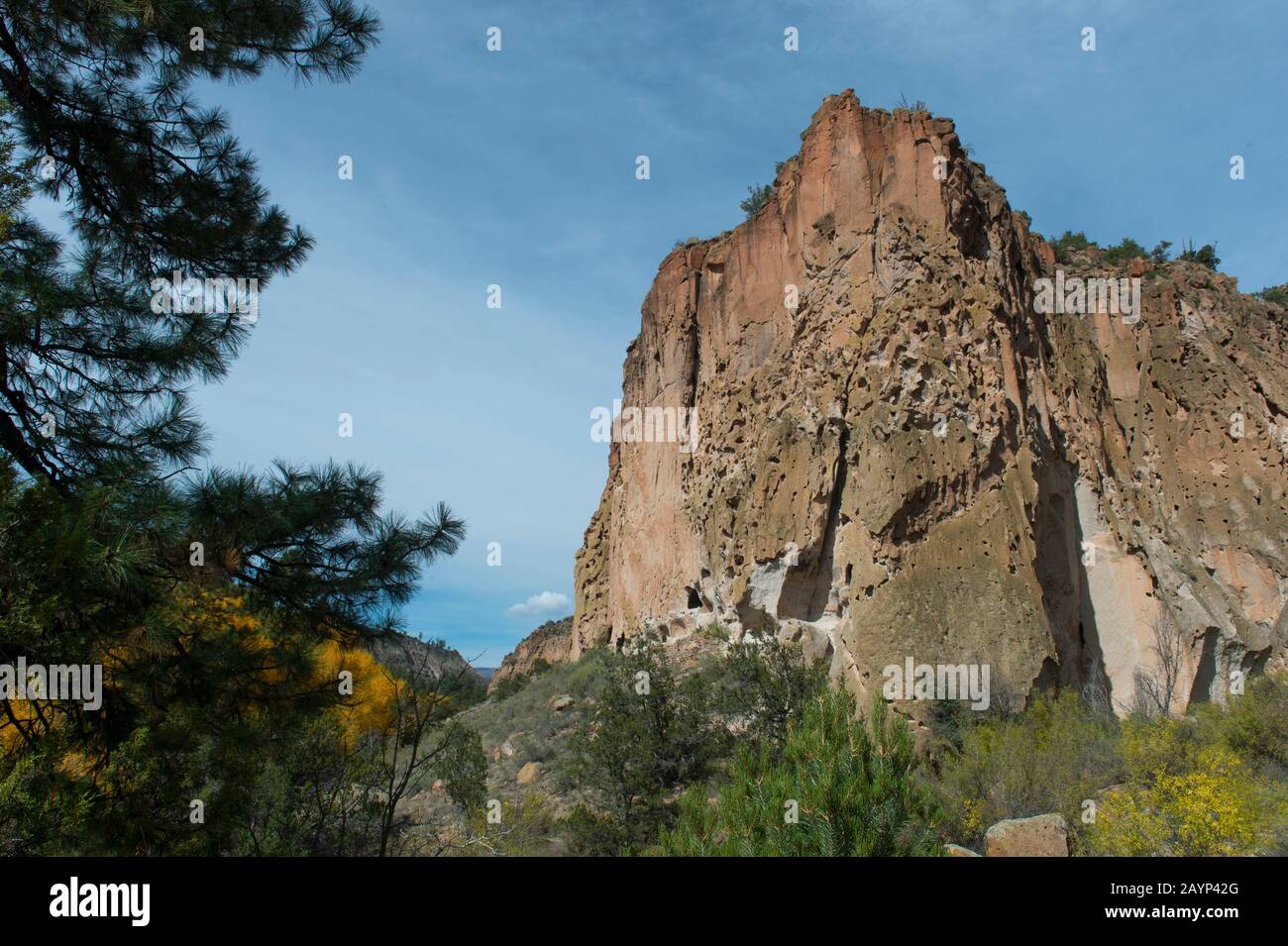Vue sur le côté de la falaise avec des logements au monument national de Bandelier près de Los Alamos, Nouveau-Mexique, États-Unis. Banque D'Images