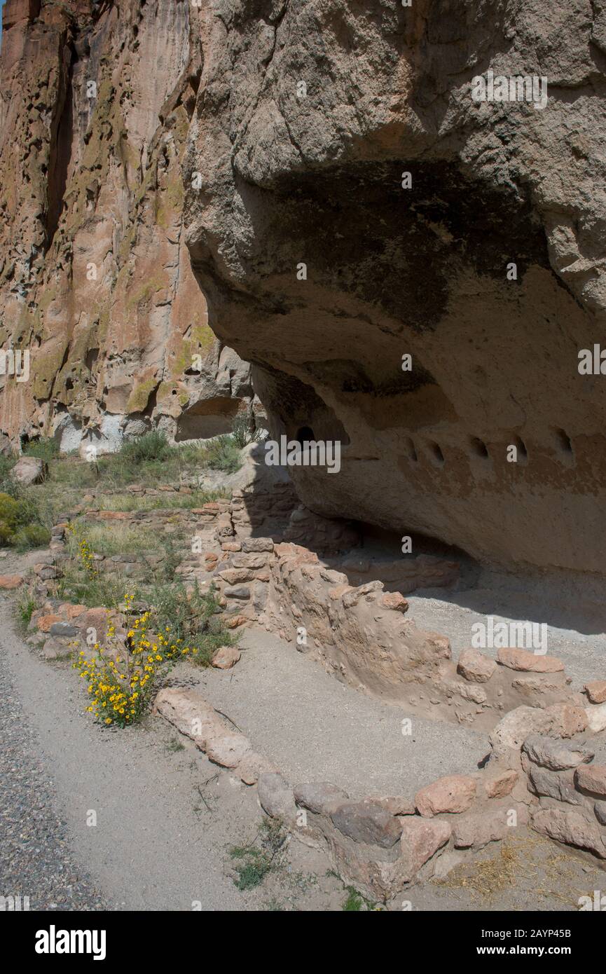 Anciennes falaises de Frijoles Canyon, monument national de Bandelier près de Los Alamos, Nouveau-Mexique, États-Unis. Banque D'Images