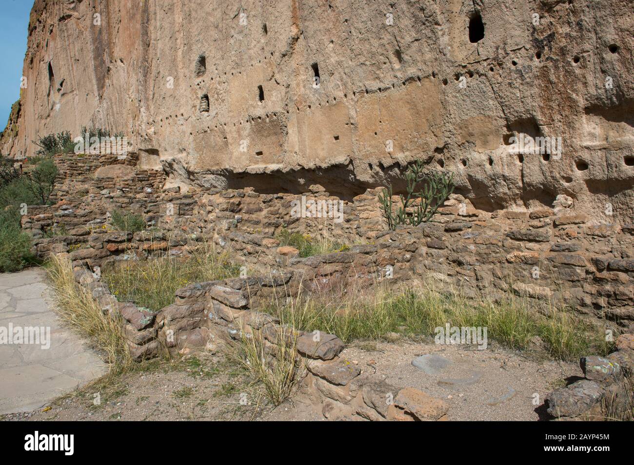 The long House aux anciennes falaises de Frijoles Canyon, monument national de Bandelier près de Los Alamos, Nouveau Mexique, États-Unis. Banque D'Images