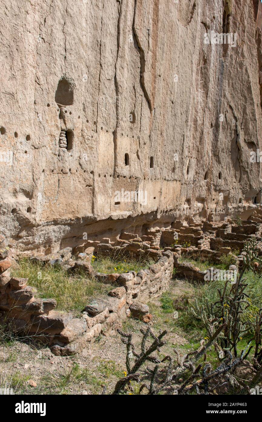 The long House aux anciennes falaises de Frijoles Canyon, monument national de Bandelier près de Los Alamos, Nouveau Mexique, États-Unis. Banque D'Images