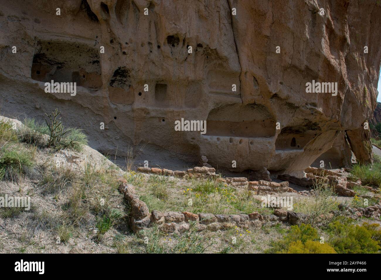 Anciennes falaises de Frijoles Canyon, monument national de Bandelier près de Los Alamos, Nouveau-Mexique, États-Unis. Banque D'Images