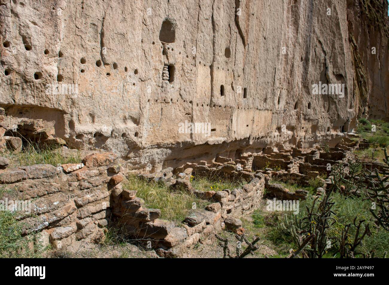 The long House aux anciennes falaises de Frijoles Canyon, monument national de Bandelier près de Los Alamos, Nouveau Mexique, États-Unis. Banque D'Images