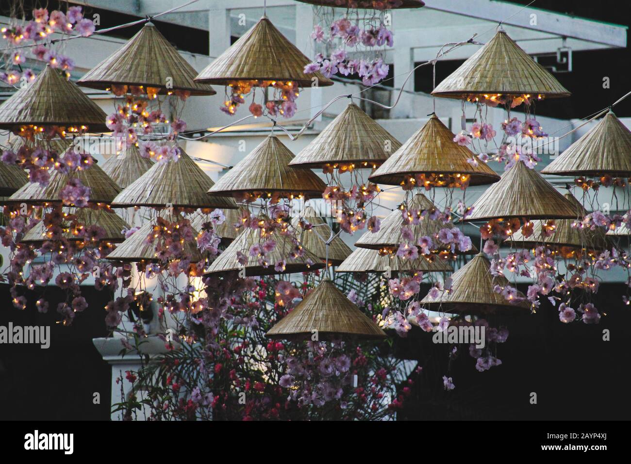 Magnifiques décorations du festival du printemps à Hanoi City en cerisier rose et chapeau conique asiatique Banque D'Images