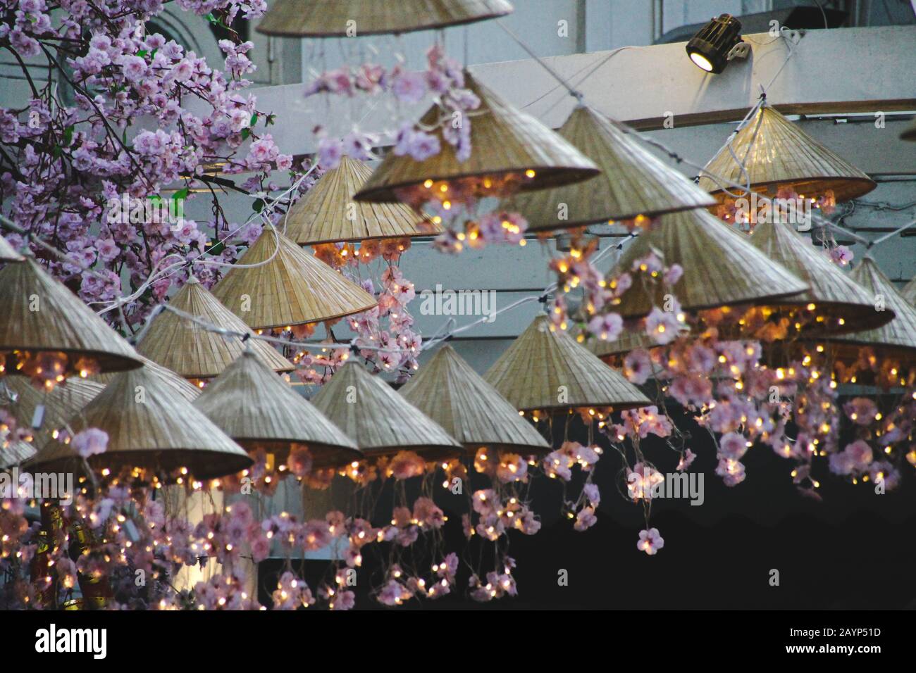 Magnifiques décorations du festival du printemps à Hanoi City en cerisier rose et chapeau conique asiatique Banque D'Images