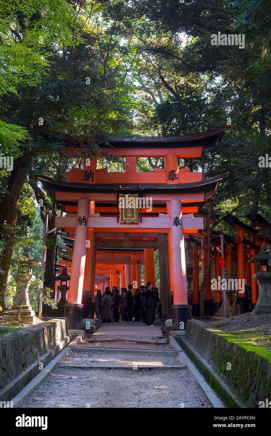 Un passage avec portes tori au sanctuaire de Fushimi Inari Taisha à Kyoto, Japon, qui sont donnés par une entreprise japonaise dans l'espoir de bonnes affaires. Banque D'Images