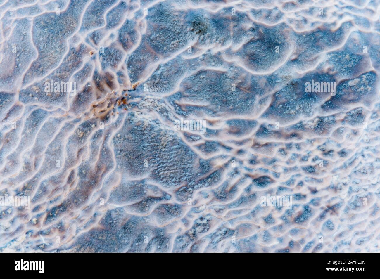 Détail du gisement minéral à une source chaude dans la zone géothermique à côté de la rivière Hvita, dans le sud-ouest de l'Islande. Banque D'Images