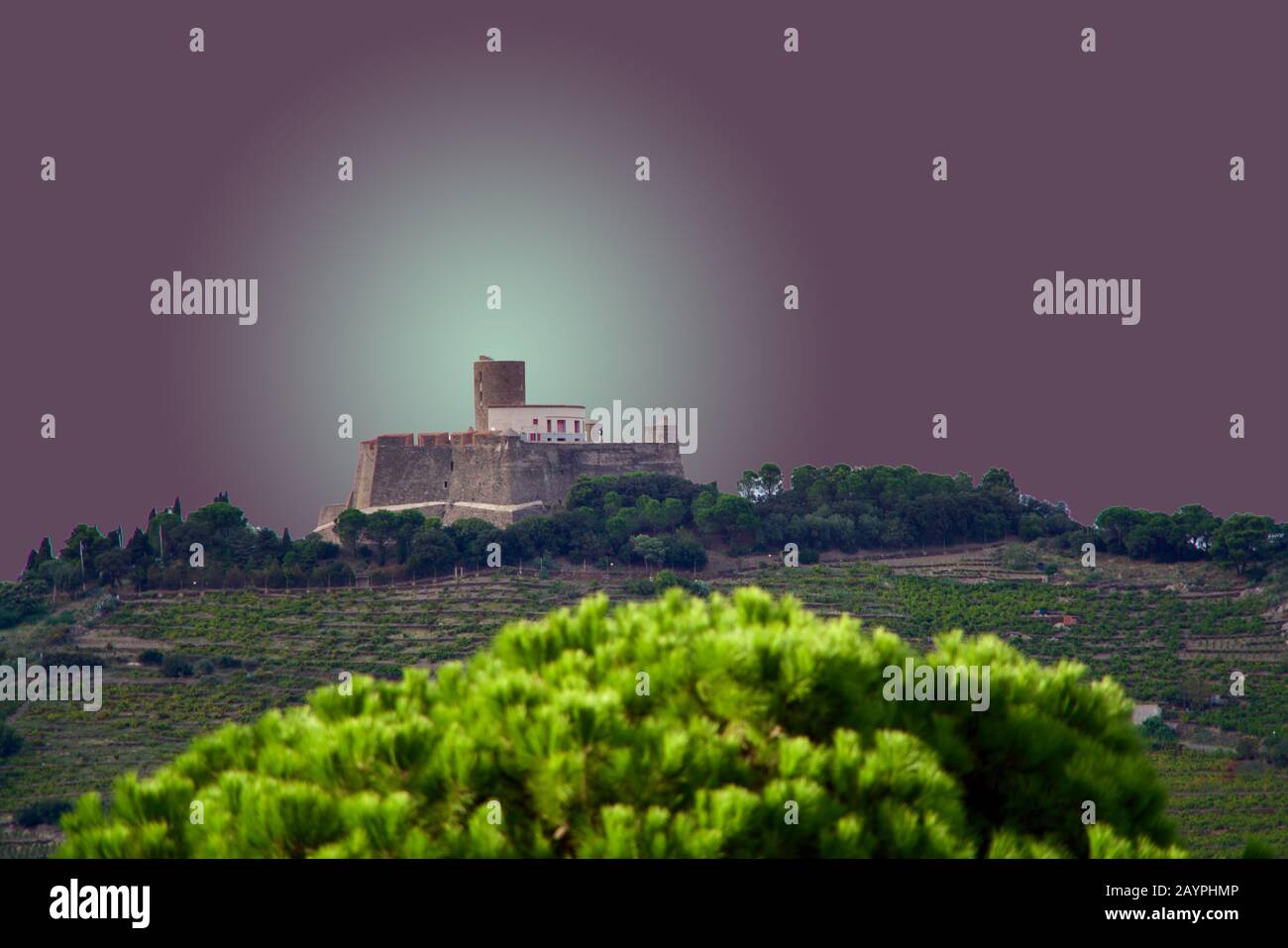 Gros plan du fort Saint-Elme Banque D'Images