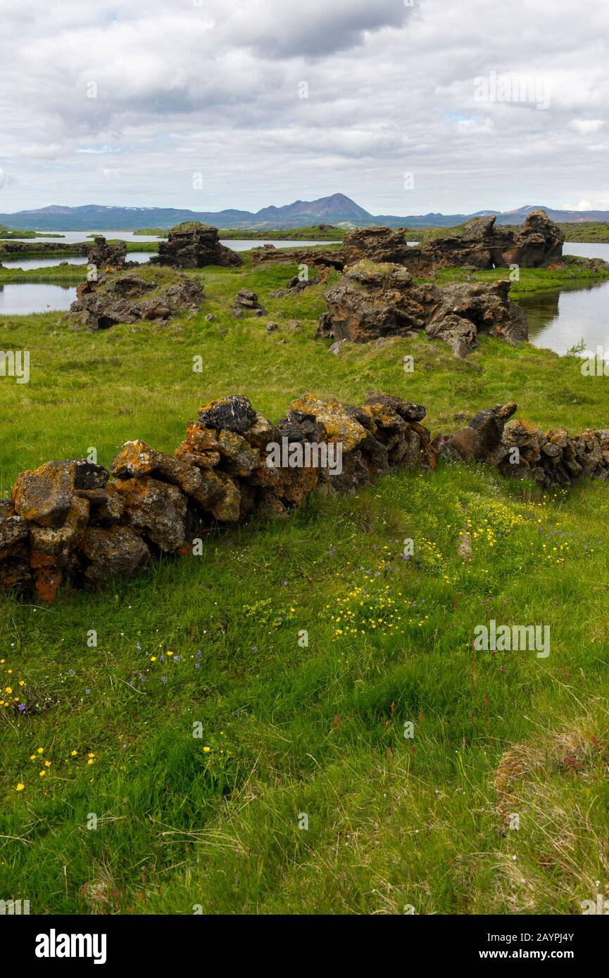 Un paysage avec un mur de roche et une vue sur les piliers de lave de Kalfastrandavogar dans la péninsule de Hofdi au lac Myvatn dans le nord-est de l'Islande. Banque D'Images