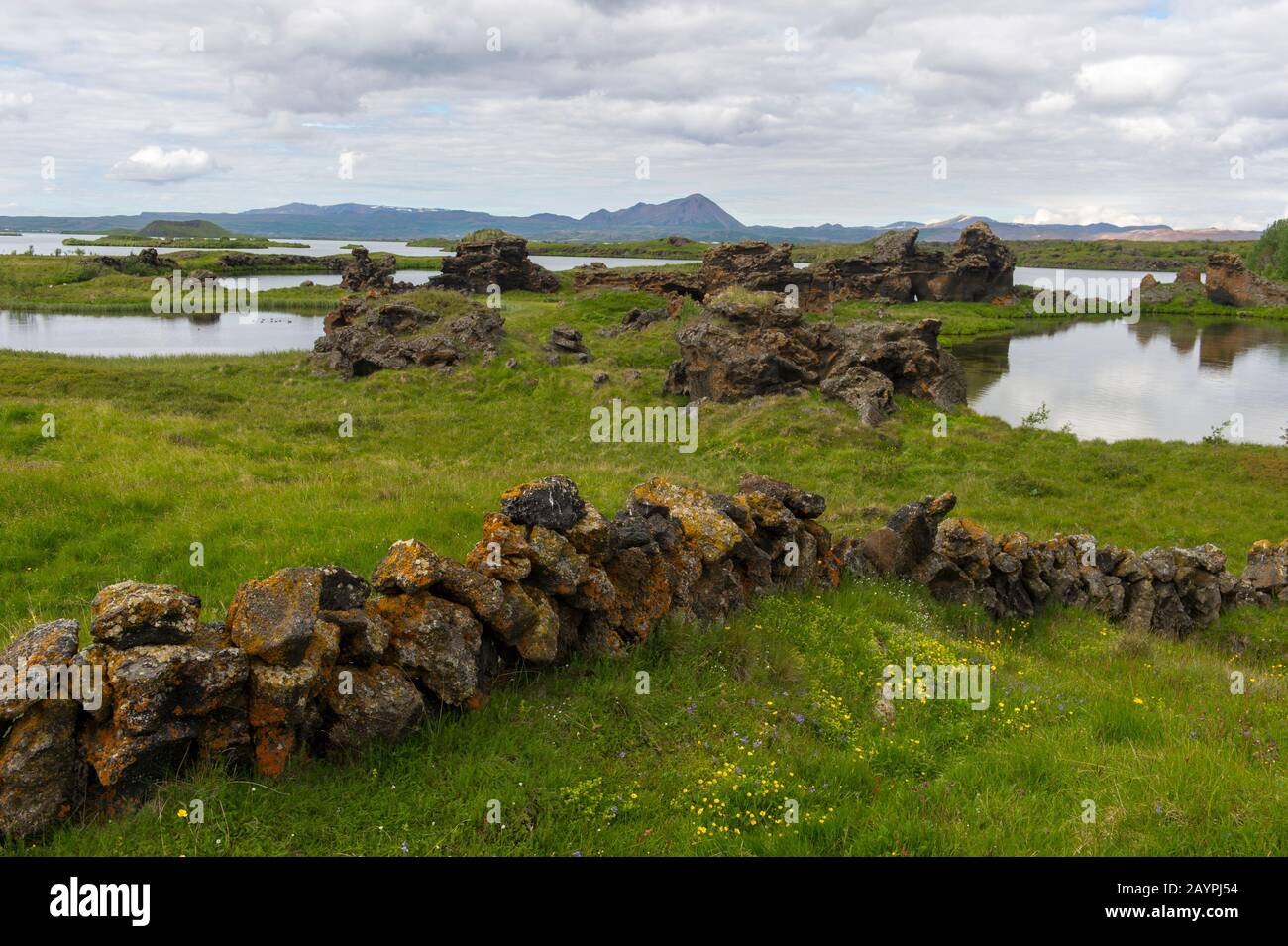 Un paysage avec un mur de roche et une vue sur les piliers de lave de Kalfastrandavogar dans la péninsule de Hofdi au lac Myvatn dans le nord-est de l'Islande. Banque D'Images