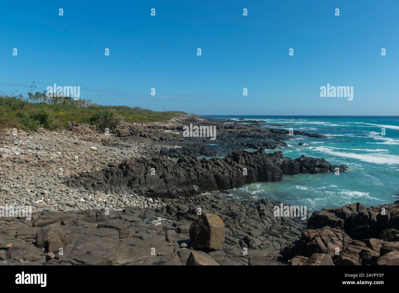 Formations rocheuses de lave le long de la côte de l'île d'Iguana au Panama. Banque D'Images