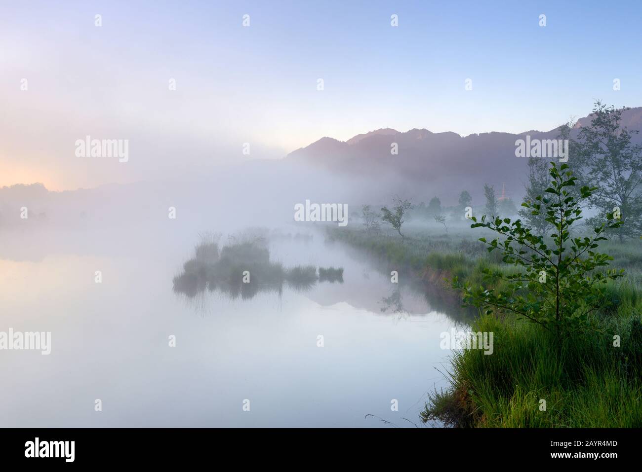 Réserve naturelle Kendlmuehlfilzn au lever du soleil dans le brouillard matinal , Allemagne, Bavière, Grassau Banque D'Images