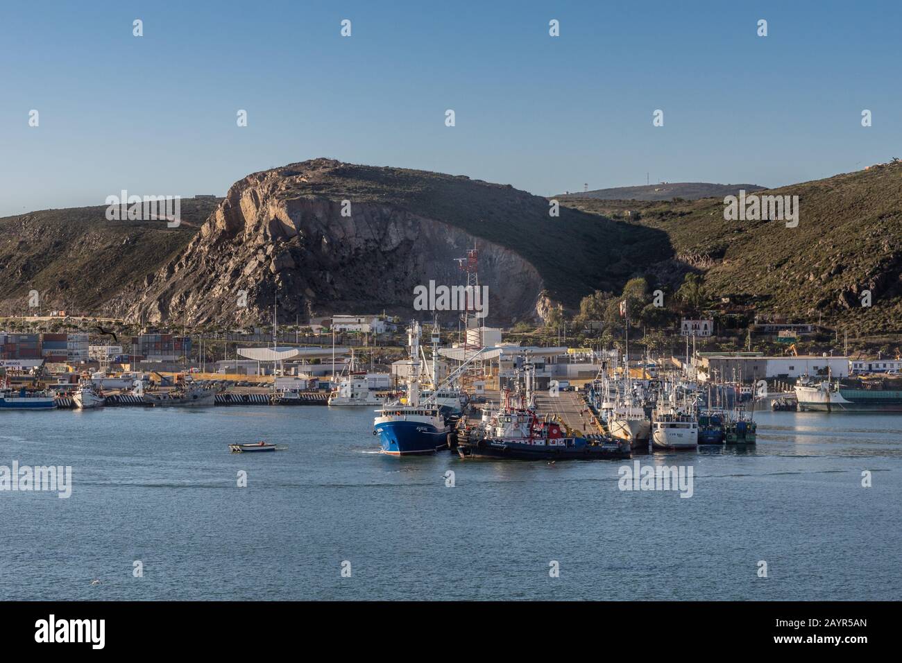 Ensenada, Mexique - 17 janvier 2012: Plusieurs bateaux de pêche et 1 remorqueur sont amarrés à leur jetée dans le port. Assis sur l'eau de la baie bleue et à l'arrière Banque D'Images