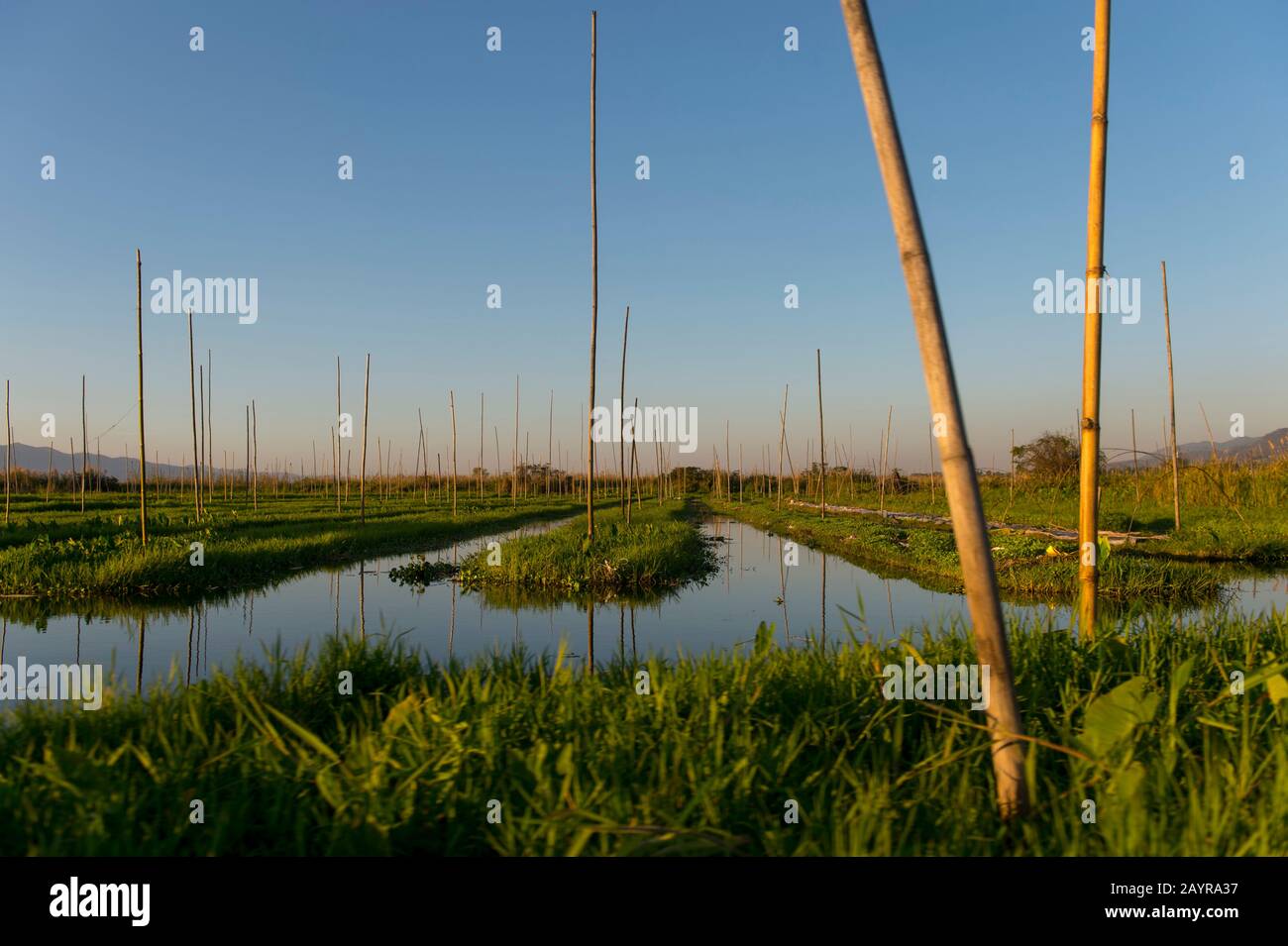 Vue sur les îles artificielles flottantes et les jardins flottants qui sont maintenus en place avec des bâtons de bambou qui sont attachés au fond du lac à moi Banque D'Images