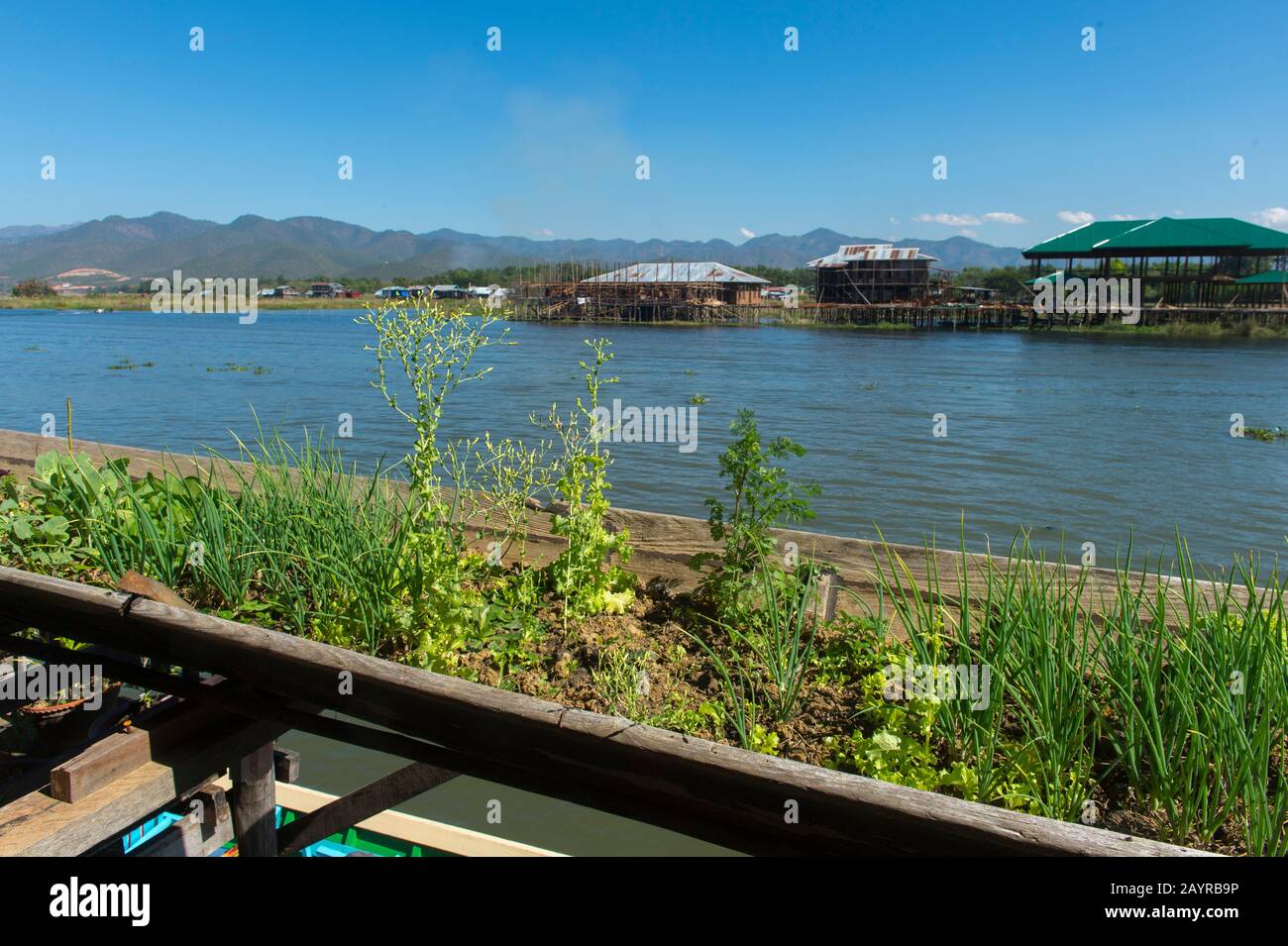 Une scène de village avec un jardin d'herbes dans un vieux bateau dans un village sur pilotis dans le lac Inle au Myanmar. Banque D'Images