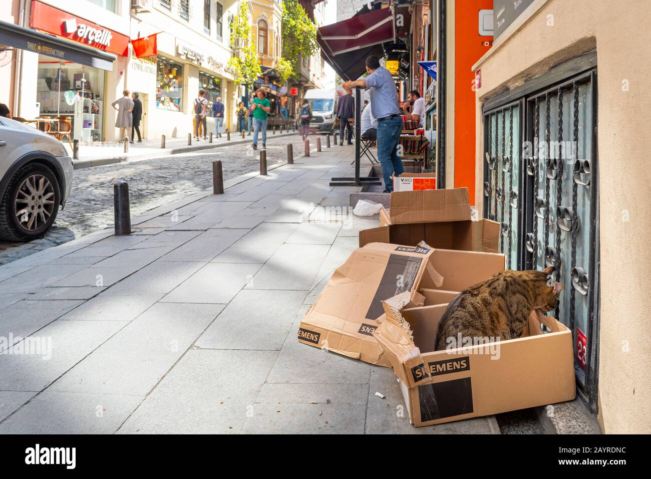 Un chat chaws errant sur une boîte de carton comme un commerçant attend à l'extérieur de son magasin dans une rue de cafés et de magasins à Istanbul, en Turquie. Banque D'Images