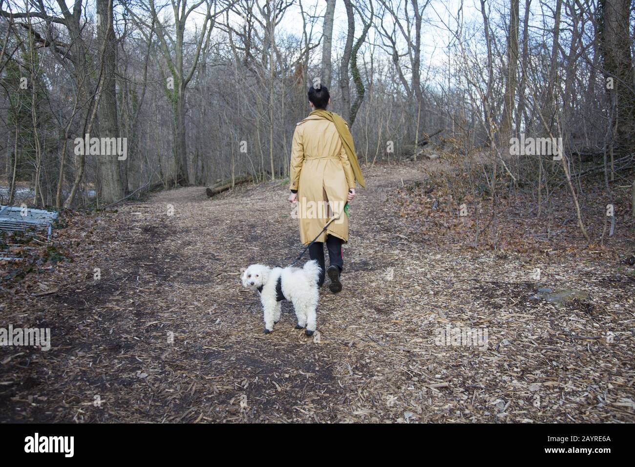 Femme marche avec son compagnon canin le long d'un sentier en hiver à Prospect Park, Brooklyn, New York. Banque D'Images