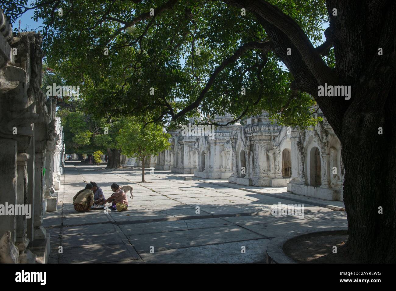 Les femmes locales et un chien aux rangées de stupas chacun abrite l'une des 729 dalles gravées avec les enseignements bouddhistes à la Pagode Kuthodaw sur Mandalay Banque D'Images