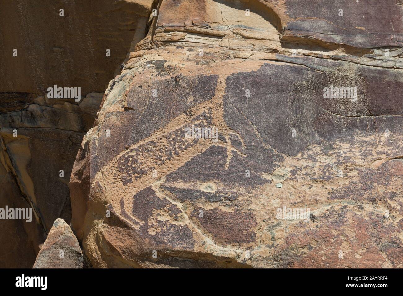 Un grand cerf a manqué sa tête sculptée dans l'ancienne roche de grès qui craque et érode au fil du temps au site pétroglyphe de l'État de Legend Rocks, Wyoming Banque D'Images