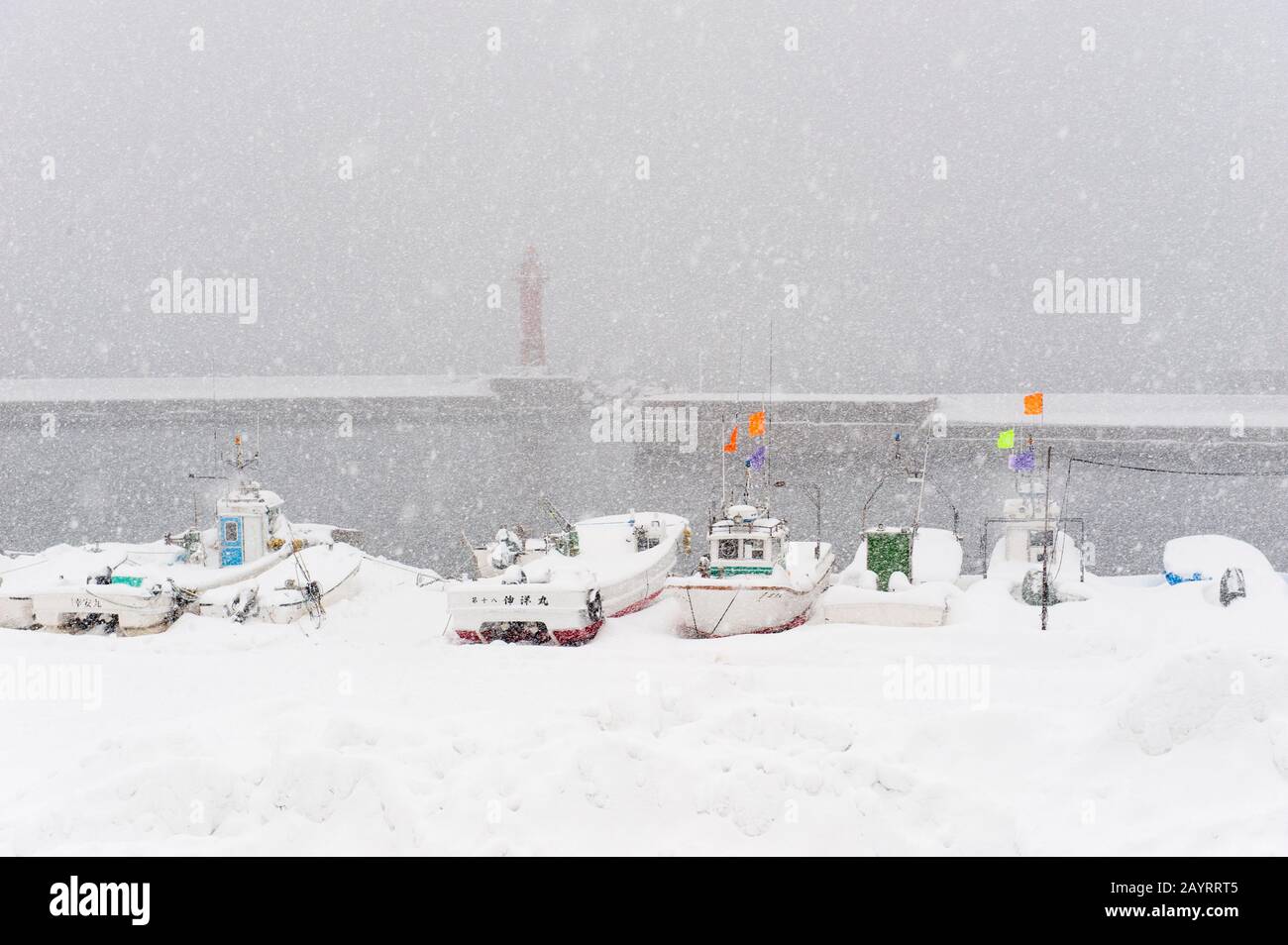 Arraché dans des bateaux de pêche près de la petite ville de Rausu, située à l'extrémité est de la péninsule de Shiretoko, sur l'île d'Hokkaido, au Japon. Banque D'Images