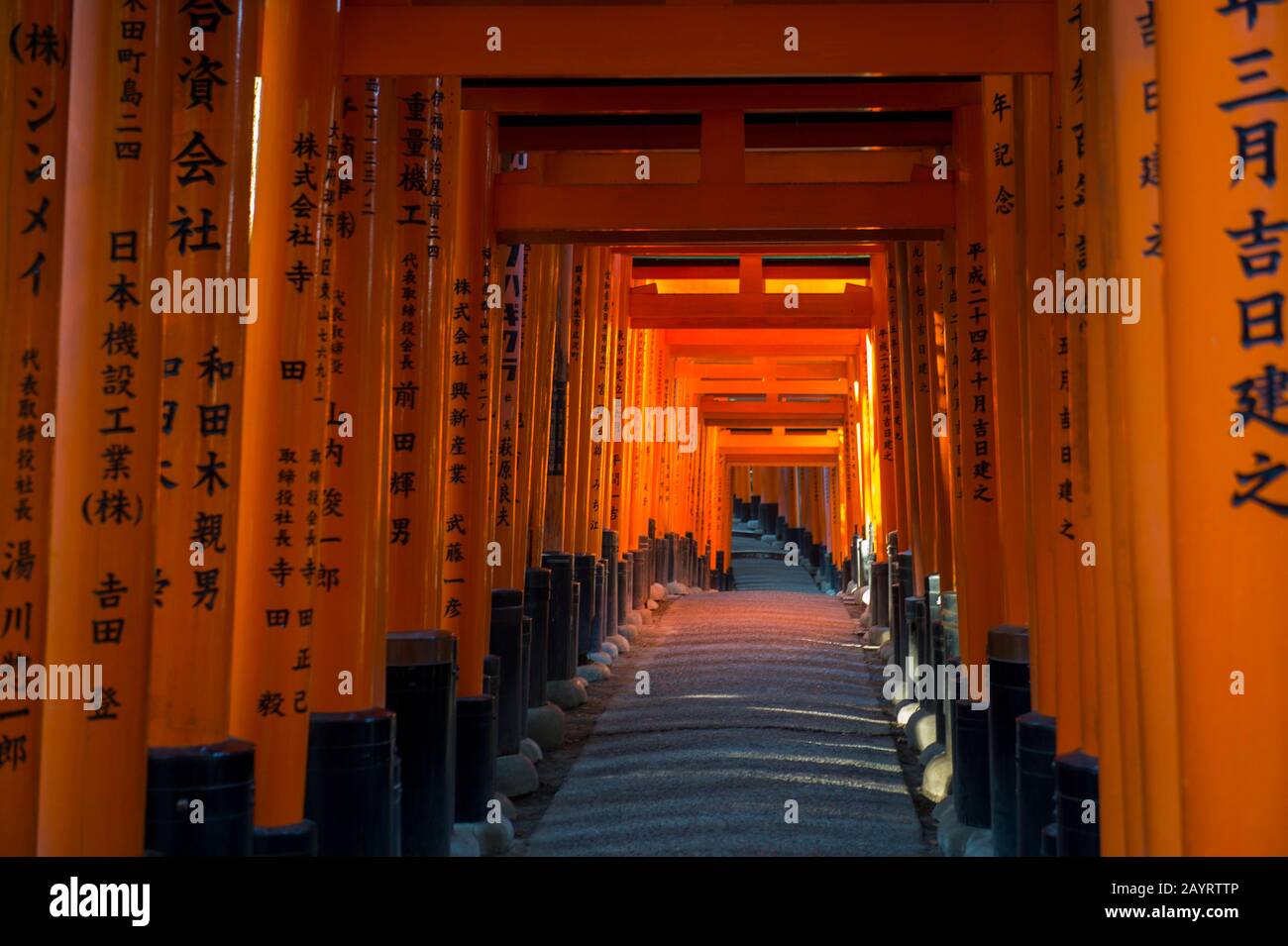 Un passage avec portes tori au sanctuaire de Fushimi Inari Taisha à Kyoto, Japon, qui sont donnés par une entreprise japonaise dans l'espoir de bonnes affaires. Banque D'Images