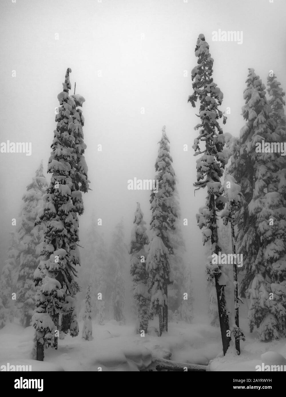 WA17431-00-BW...WASHINGTON - Journée d'hiver dans la nature sauvage des lacs alpins, Mount Baker Snoqualmie Wilderness. Banque D'Images