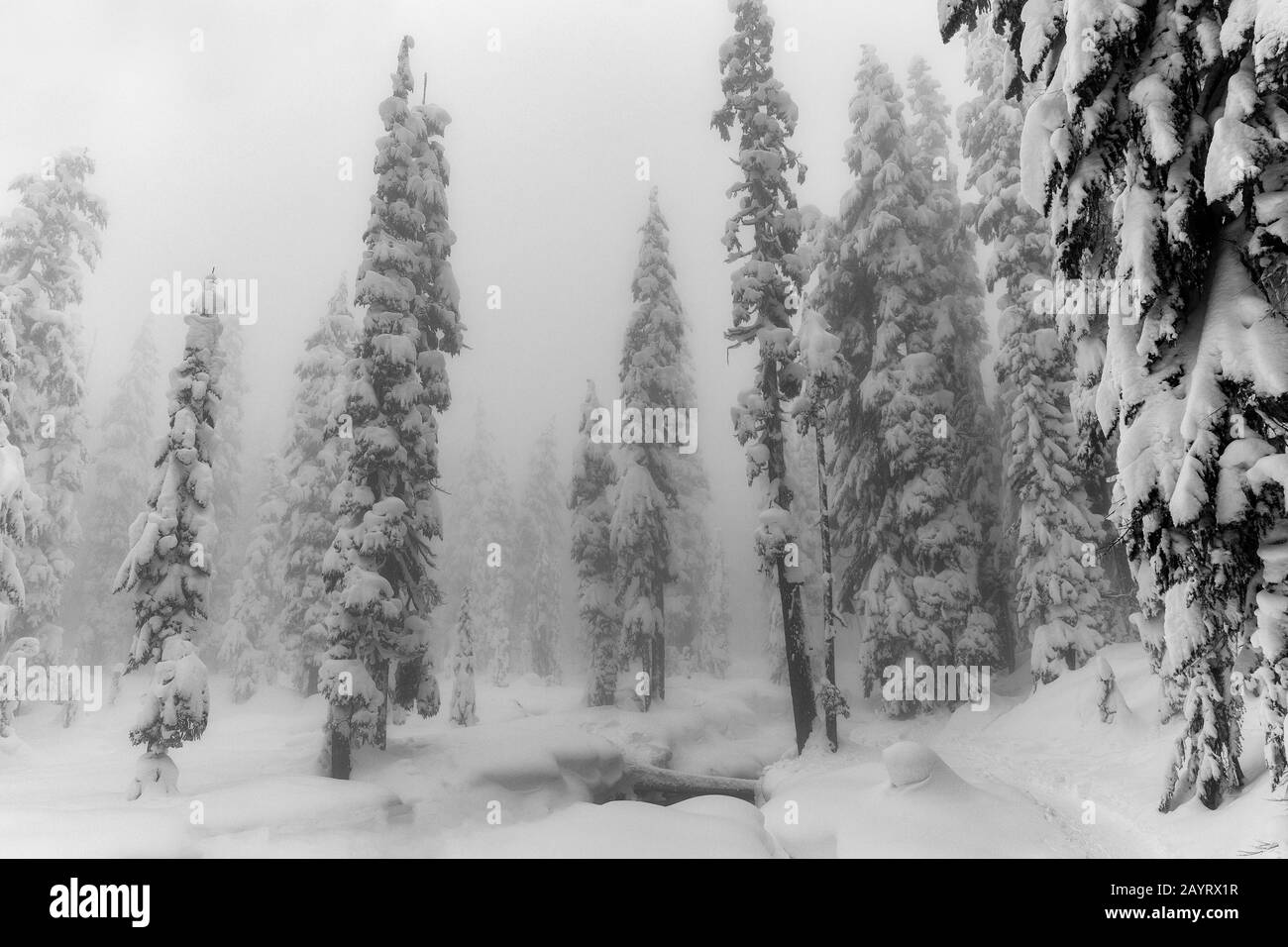 WA17433-00 .... WASHINGTON - Journée d'hiver dans la nature sauvage des lacs alpins, Mount Baker Snoqualmie Wilderness. Banque D'Images