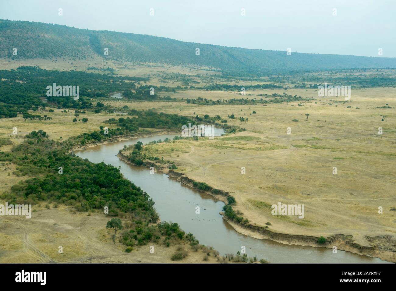 Vue aérienne de la rivière Mara dans La Réserve nationale Masai Mara au Kenya. Banque D'Images