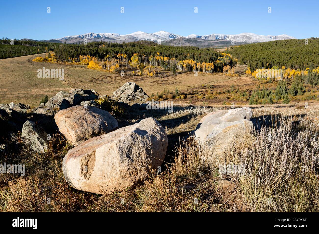 WY02473-00...WYOMING - les monts Bighorn vue de la route 19 dans la forêt nationale de Bighorn. Banque D'Images WY02473-00...WYOMING - les monts Bighorn vue de la route 19 dans la forêt nationale de Bighorn. Banque D'Images