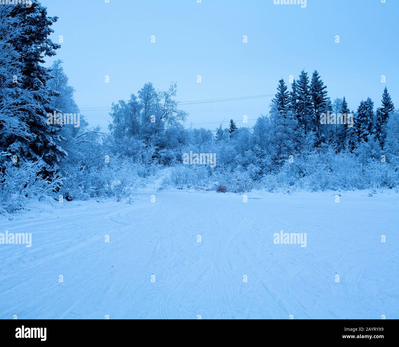 Grace Lake à Yellowknife, Territoires du Nord-Ouest, Canada Banque D'Images