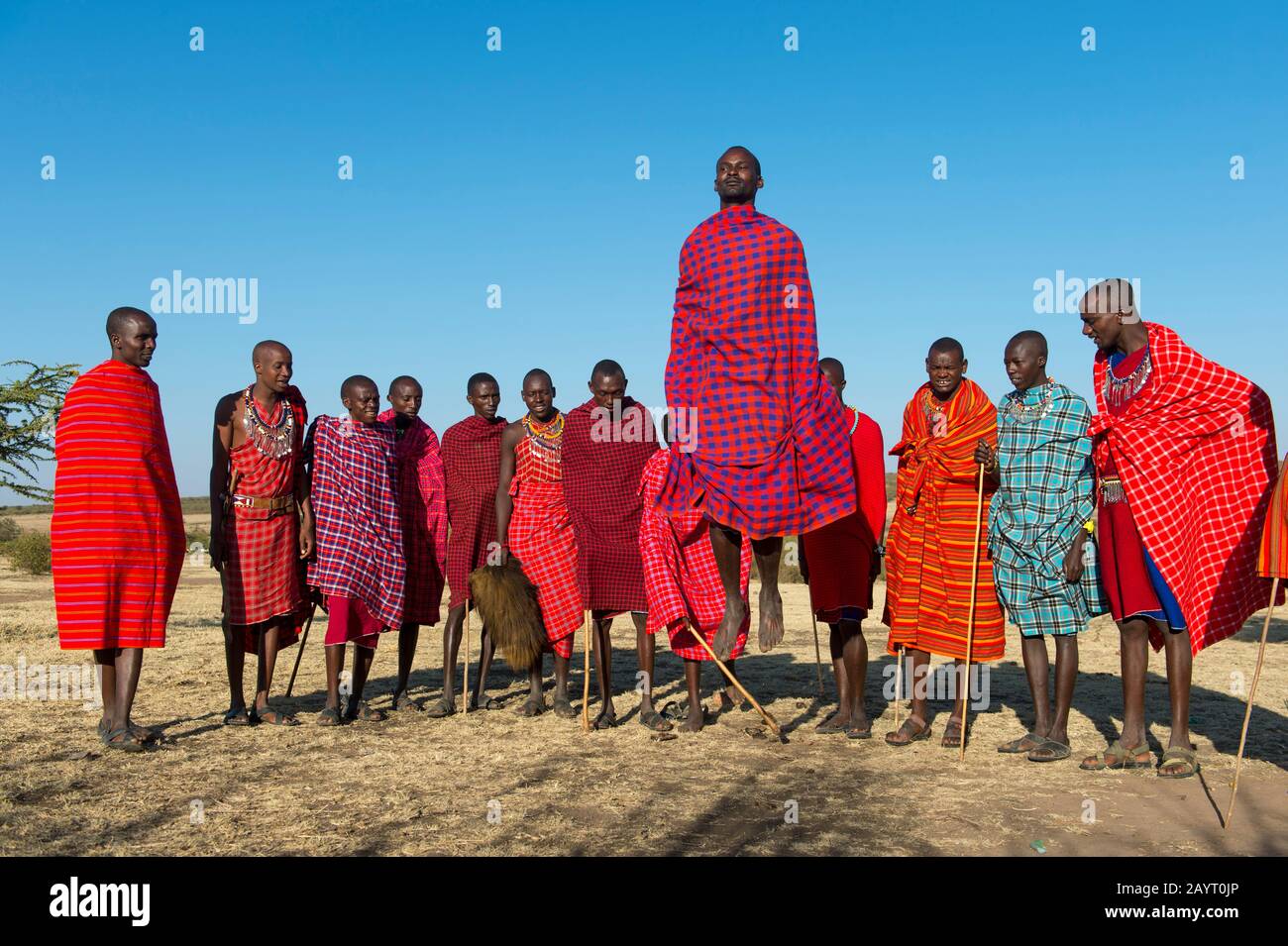 Les jeunes hommes Maasai qui ont une danse traditionnelle de saut dans le Masai Mara au Kenya. Banque D'Images