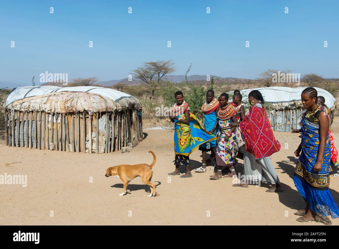 Samburu Tribes femmes dans un village de Samburu près De la Réserve nationale de Samburu au Kenya. Banque D'Images